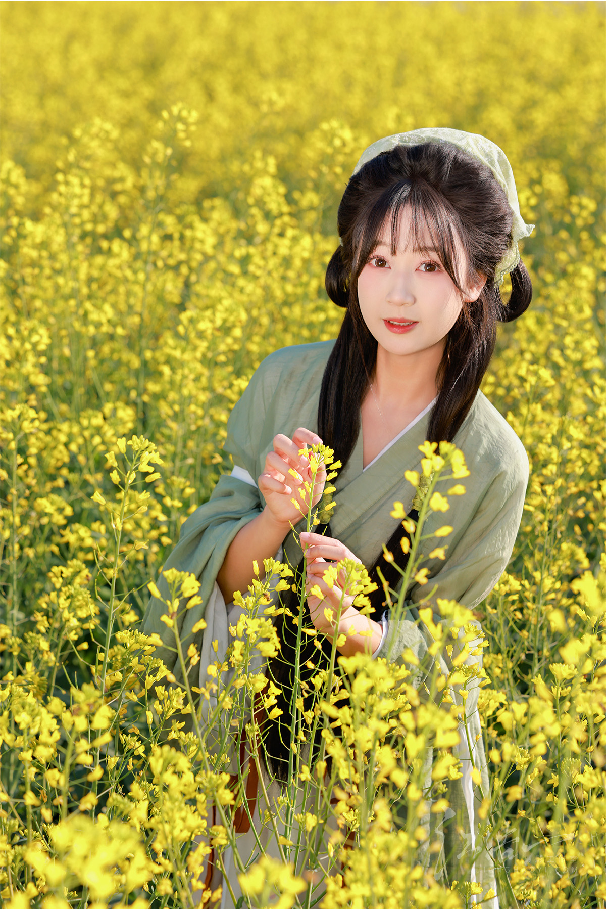 国风少女与油菜花的春日约定(图2)
